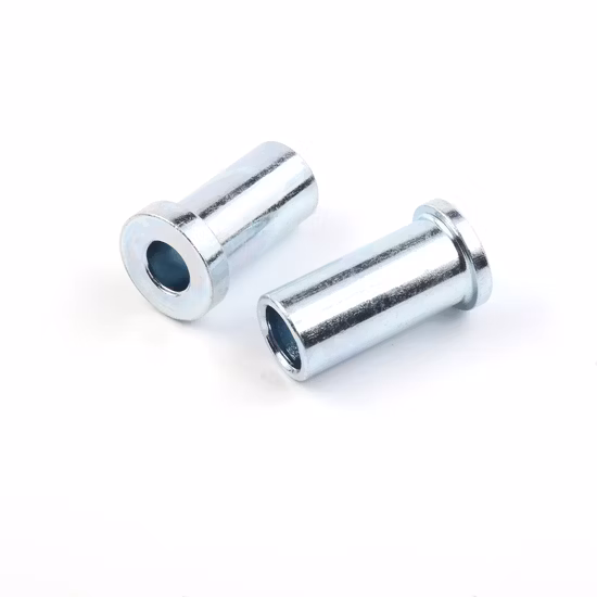O prendedor padrão aceita o OEM aceita o rebite oco do OEM